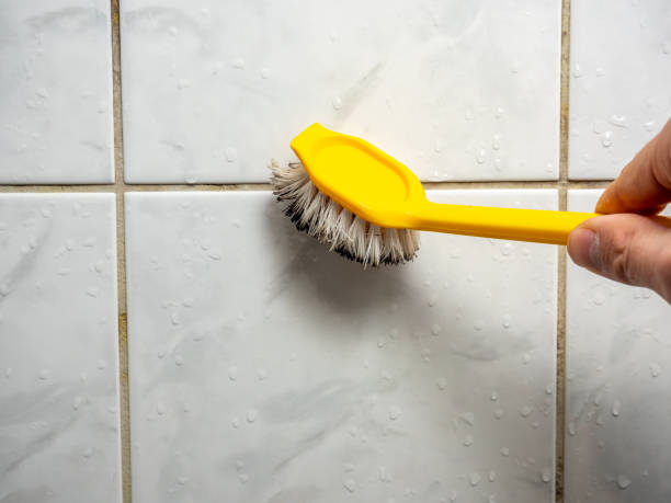 Best Commercial Mold Removal  in Highlands, NC