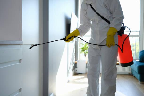 Best Commercial Mold Removal  in Highlands, NC