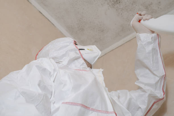 Office Mold Removal Services in Highlands, NC