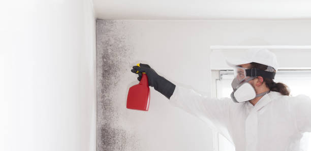 Best Residential Mold Removal  in Highlands, NC